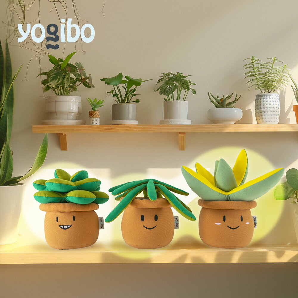 楽天市場】yogibo ナマケモノの通販 楽天市場】yogibo ナマケモノの通販