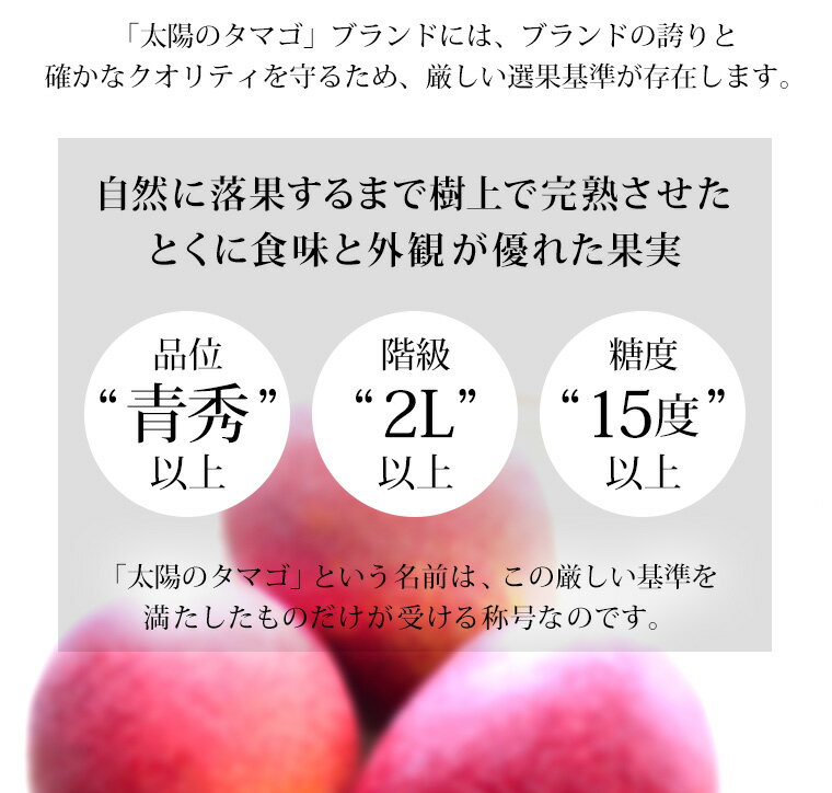 宮崎マンゴー 太陽のたまご 青秀 2Lサイズ (350g以上)×2玉 JAこばやし 宮崎県 産地直送 【完熟マンゴー/マンゴー/まんごー/太陽のタマゴ/お取り寄せ/フルーツ/果物/ギフト/贈答用/プレゼント/内祝い/母の日/母の日ギフト】【産直プレミアム】 宮崎マンゴー 太陽のたまご 青秀 2Lサイズ (350g以上)×2玉 JAこばやし 宮崎県 産地直送 【完熟マンゴー/マンゴー/まんごー/太陽のタマゴ/お取り寄せ/フルーツ/果物/ギフト/贈答用/プレゼント/内祝い/母の日/母の日ギフト】【産直プレミアム】