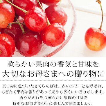 母の日ギフト さくらんぼ 佐藤錦又は紅秀峰 特秀品 L〜2Lサイズ 約300g 化粧箱入 山形県産 JAさがえ西村山 産地直送 ハウス栽培 【サクランボ/さとうにしき/べにしゅうほう/お取り寄せ/フルーツ/果物/母の日/ギフト/贈答用/プレゼント】【産直プレミアム】