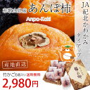 あんぽ柿 竹かご6個入 和歌山県 JA紀北かわかみ かつらぎ町あんぽ柿加工組合 産地直送 送料無料 【産直プレミアム】【アンポ柿/あんぽ柿/あんぽがき/紀州/かき】