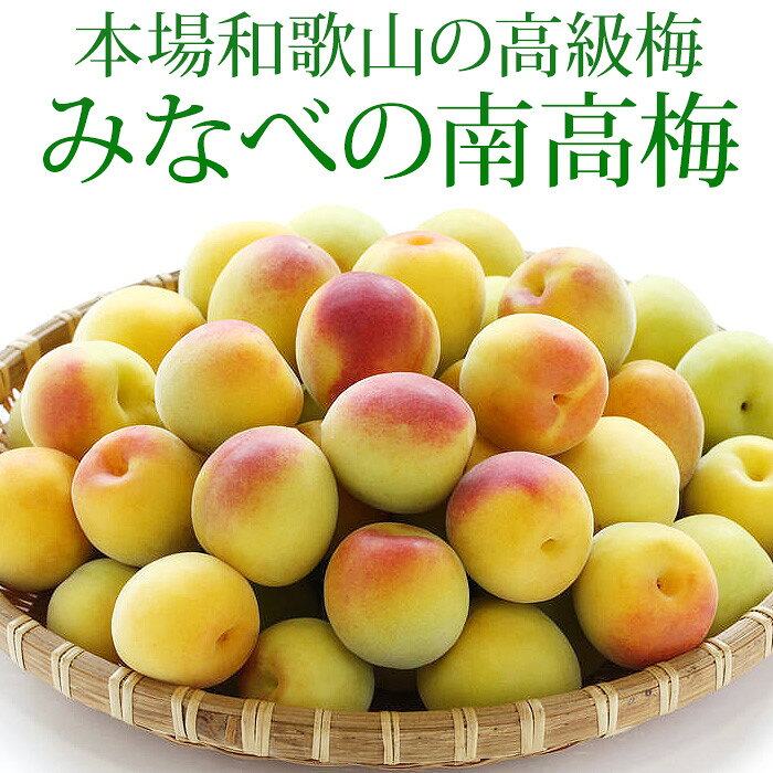 【エントリーでP10倍】梅 南高梅 秀品 約5kg Lサイズ 和歌山県産 うめ ウメ なんこ...