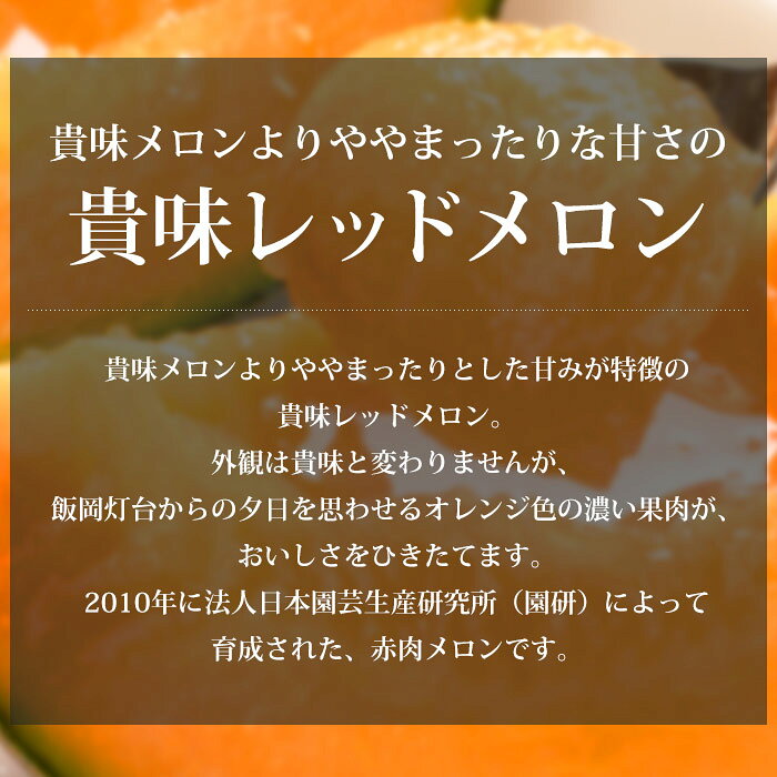 【クーポン利用で最安値挑戦中】メロン 飯岡 貴味レッドメロン 約3kg 4Lサイズ以上 2玉 千葉県産 タカミレッドメロン たかみレッドメロン 赤肉 お取り寄せ フルーツ 果物 ギフト 贈答 プレゼント 内祝い 出産祝い 引出物 産直プレミアム yogmogg-10001340 産直プレミアム サンプル画像3