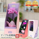 【マラソン限定店内全品P2倍】 胡蝶蘭 テーブル胡蝶蘭 1本立 3号 2WAYBOX 椎名洋ラン園 ギフトBOX入 産地直送 こちょうらん コチョウラン お取り寄せ 花 生花 ギフト 贈答 プレゼント のし 鉢植え 産直プレミアム