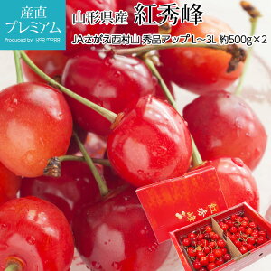 さくらんぼ 紅秀峰 秀アップ（特秀品・秀品） L〜3Lサイズ 約1kg（500g×2） JAさがえ西村山 山形県 産地直送 送料無料 【サクランボ/べにしゅうほう/お取り寄せ/フルーツ/果物/ギフト/贈答用/プレゼント】【産直プレミアム】