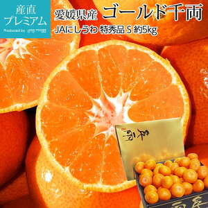 高級みかん ゴールド千両 日の丸みかん 特秀品 約5kg Sサイズ 約60個 小玉 小粒 愛媛県産 産地直送【みかん 愛媛 蜜柑 ミカン 高級 お取り寄せ フルーツ 果物 ギフト 贈答 プレゼント 箱サイズ お歳暮 2023】【産直プレミアム】