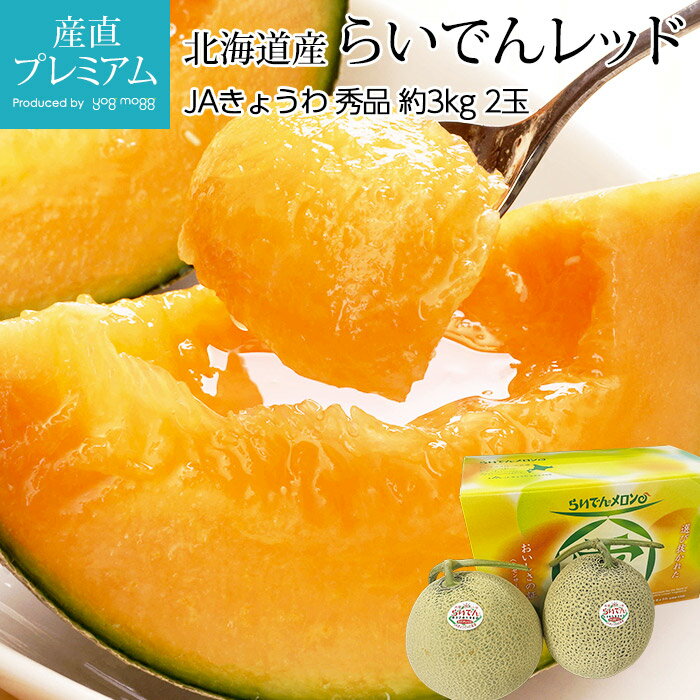 【10/4 20:00~P2倍&300円OFFクーポン】 メロン らいでんメロン 赤肉 秀品 約3kg 2玉 北海道産 らいでんレッドメロン めろん お取り寄せ フルーツ 果物 贈答 ギフト プレゼント 内祝い お見舞い お中元 産直プレミアム
