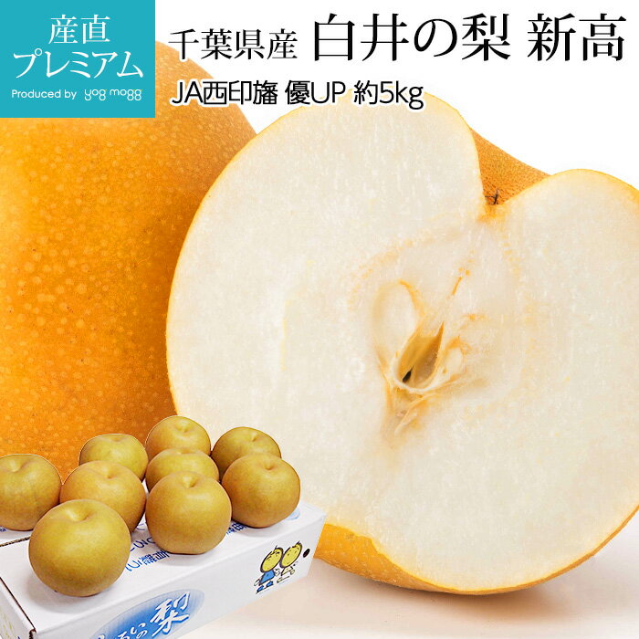 【新高】甘くて美味しい梨の品種！新高のお取り寄せおすすめは？