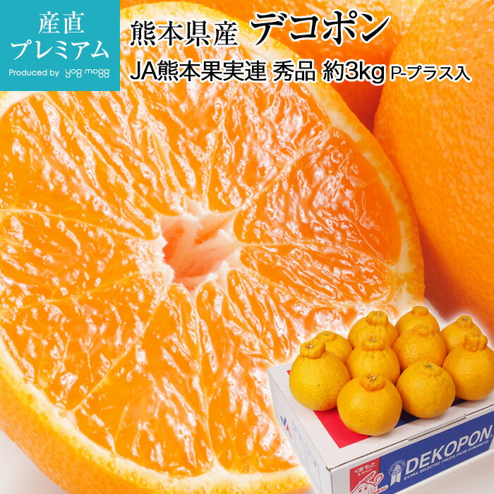 デコポン 秀品 約3kg 10〜12玉 冷蔵（P-プラス入） JAグループ熊本 熊本 送料無料 【でこぽん/みかん/ミカン/蜜柑/柑橘/熊本/お取り寄せ/フルーツ/果物/ギフト/贈答用/プレゼント】【産直プレミアム】