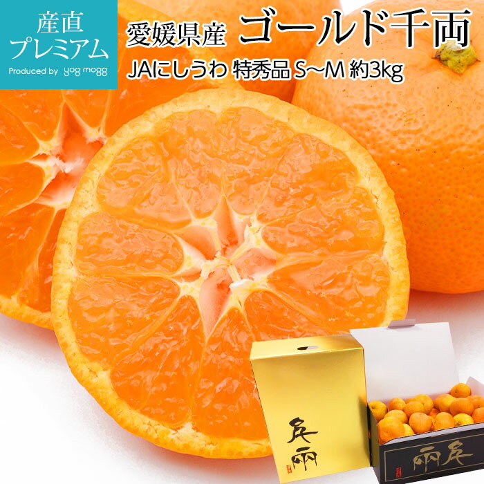 【期間限定最大P29倍】 みかん ゴールド千両 日の丸みかん 特秀品 約3kg S〜Mサイズ 30〜36個 愛媛県産 産地直送【蜜柑 ミカン 高級みかん 高級 お取り寄せ フルーツ 果物 ギフト 贈答 プレゼント 箱サイズ お歳暮 2023】【産直プレミアム】のサムネイル