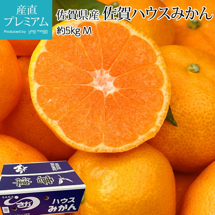 みかん 佐賀ハウスみかん 約5kg Mサイズ 約50個 佐賀県産【ミカン 蜜柑 柑橘 お取り寄せ フルーツ 果物 ギフト 贈答 プレゼント 内祝い 箱サイズ】【産直プレミアム】