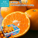 みかん 味っ子みかん 丸秀品 約5kg S~Lサイズ 40~60個 糖度13度以上 長崎県産 蜜柑 ミカン 味っ子 糖度12度以上 西海 お取り寄せ フルーツ 果物 ギフト 贈答 プレゼント 内祝い 箱サイズ 産直プレミアム