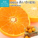 訳ありではありません!紅まどんなと同品種 みかん あいか 愛...