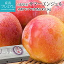 プラム サマーエンジェル 秀品 約1.5kg 10〜13玉 山梨県産 化粧箱入【さまーえんじぇる すもも スモモ 山梨 お取り寄せ フルーツ 果物 ギフト 贈答...