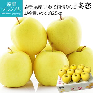 【期間限定最大P27倍】 りんご 冬恋 約2.5kg 7〜10玉 岩手県産【林檎 リンゴ アップル お取り寄せ フルーツ 果物 ギフト 贈答 プレゼント 内祝い 箱サイズ 美味しい お歳暮 のし 2023】【産直プレミアム】