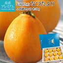 びわ なつたより 長崎びわ 約1kg 12～15粒 化粧箱 露地栽培 長崎県産【枇杷 ビワ 長崎枇杷 長崎ビワ お取り寄せ フル…