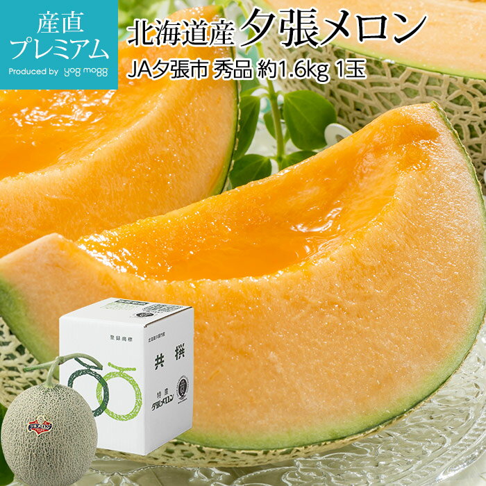 メロン 夕張メロン 秀品 約1.6kg 1玉 北海道産 産地直送【めろん ゆうばりめろん ユウバリメロン 贈答 ギフト プレゼント フルーツ グルメ お取り寄せ 内祝い お見舞い 出産祝い】【産直プレミアム】