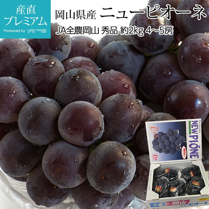 ぶどう ニューピオーネ 種なし 秀品 約2kg 4〜5房 岡山県産 ぴおーね にゅーぴおーね 種無し 葡萄 ブドウ フルーツ 贈答 ギフト プレゼント 内祝い 出産祝い 産直プレミアム
