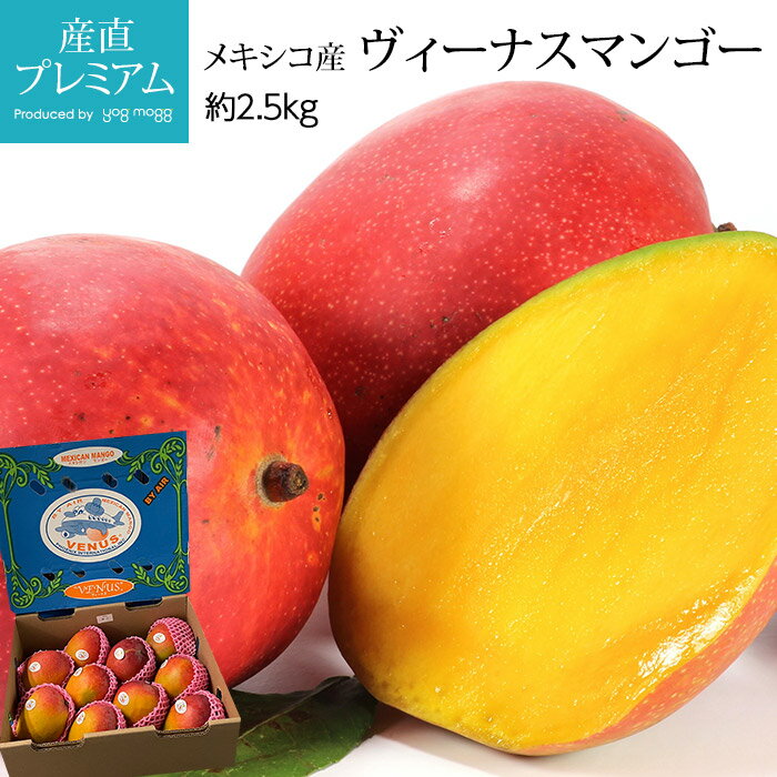 マンゴー 【スーパーセール限定最大P28倍】 マンゴー ヴィーナスマンゴー 約2.5kg 5～6玉 メキシコ産【まんごー 芒果 お取り寄せ フルーツ 果物 ギフト 贈答 プレゼント 贈り物】【産直プレミアム】