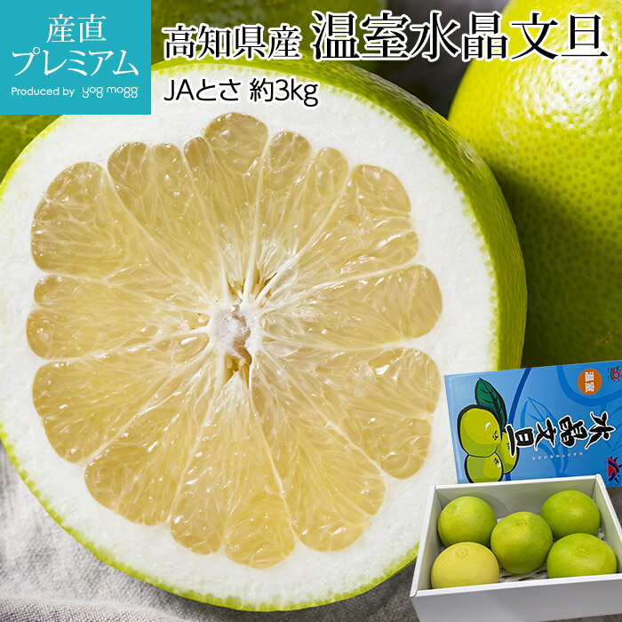 【10/24 20:00〜P2倍】 温室水晶文旦 約3kg 5〜7玉 高知県産 文旦 ブンタン ぶんたん 柑橘 お取り寄せ フルーツ 果物 ギフト 贈答 プレゼント 内祝い 箱サイズ 産直プレミアムのサムネイル