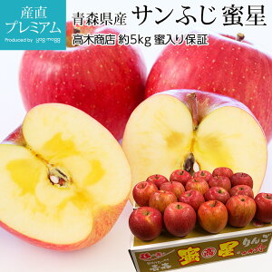 サンふじ 蜜星 りんご 蜜入り保証 約5kg 18〜24玉 高木商店 青森県 送料無料 産地直送 【リンゴ/林檎/さんふじ/サンフジ/蜜入りりんご/蜜入りリンゴ/蜜入りサンふじ/蜜入り/お取り寄せ/フルーツ/果物/ギフト/お歳暮/御歳暮/お歳暮ギフト/贈答用】【産直プレミアム】