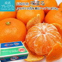 みかん 味まる 優品アップ 約5kg SSサイズ 約80個 小玉 小粒 長崎県産 蜜柑 ミカン 西海 お取り寄せ フルーツ 果物 ギフト 贈答 プレゼント 内祝い 箱サイズ 産直プレミアム