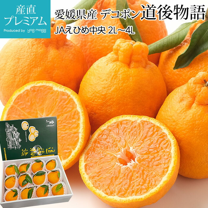 楽天市場】デコポン 4lの通販 楽天市場】デコポン 4lの通販
