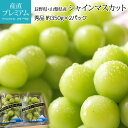 ぶどう ぶどう シャインマスカット 秀品 約700g（約350g/1房）2パック 長野県産 山梨県産【ブドウ 葡萄 マスカット お取り寄せ フルーツ 果物 ギフト 贈答 プレゼント 内祝い】【産直プレミアム】