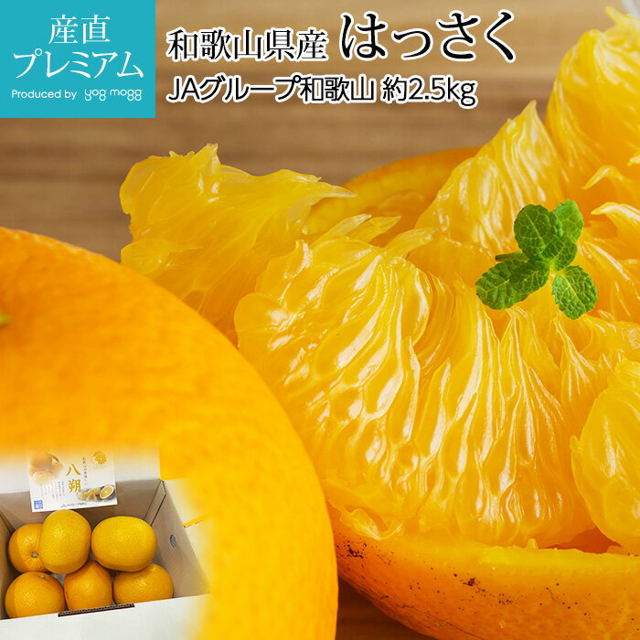 【マラソン限定最大P27倍】 はっさく 約2.5kg 6〜10玉 JAグループ和歌山 和歌山県産 【八朔 ハッサク 柑橘 お取り寄せ フルーツ 果物 ギフト 贈答用 プレゼント 内祝い】【産直プレミアム】のサムネイル