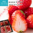 イチゴ とちおとめ 又は とちあいか SD 4パック（2パック×2箱） 栃木県産