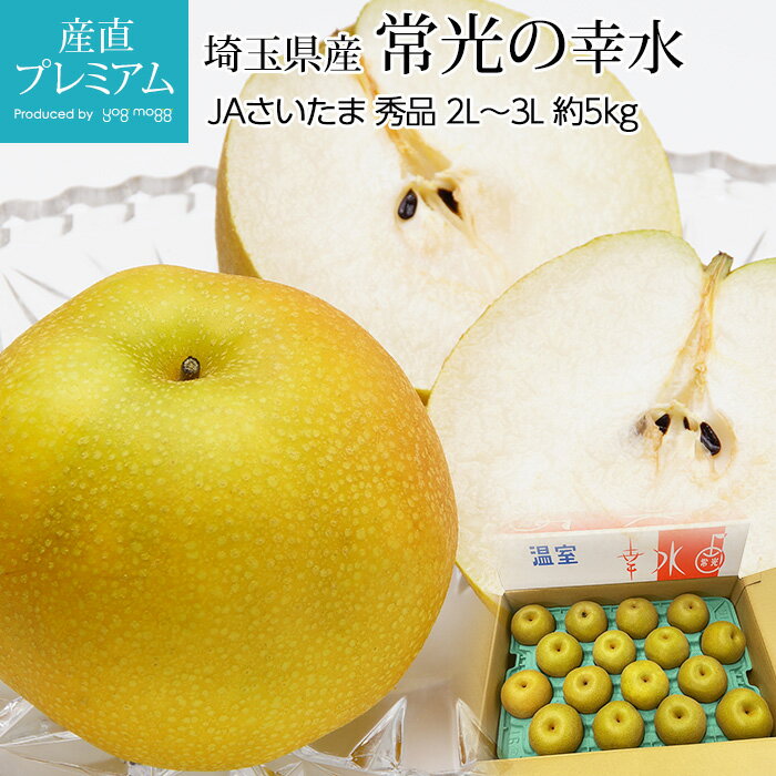 梨 梨 常光の幸水 秀品 2L～3Lサイズ 約5kg 14～16玉 埼玉県産【なし ナシ お取り寄せ フルーツ 果物 ギフト 贈答 プレゼント 内祝い 出産祝い】【産直プレミアム】