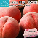 桃 甲斐一宮の桃 青秀アップ 約5kg 12〜20玉 山梨県産 産地直送 もも モモ 山梨 お取り寄せ フルーツ 果物 ギフト 贈答 プレゼント 内祝い 出産祝...