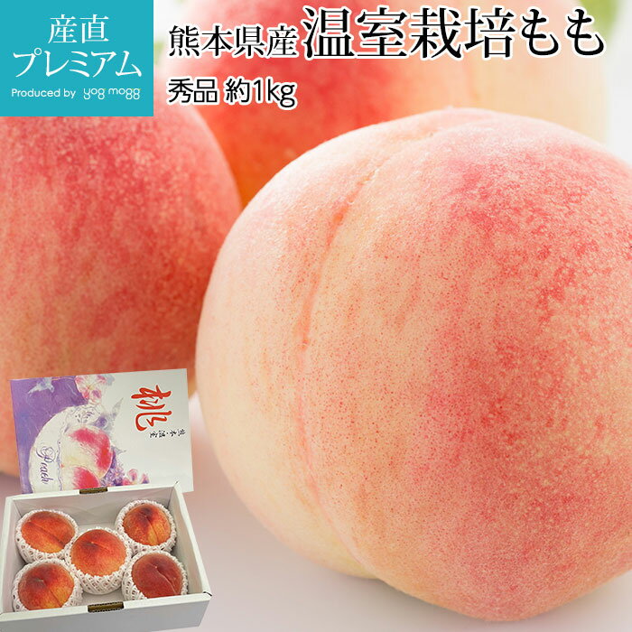 【マラソン限定最大P26倍】 桃 温室栽培 もも 秀品 約1kg 4～6玉 熊本県産【ハウス栽培 モモ 熊本 お取り寄せ フルーツ 果物 ギフト 贈答 プレゼント 内祝い 出産祝い】【産直プレミアム】