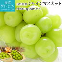 【9/4 20:00~P2倍&最大600円OFFクーポン】 ぶどう シャインマスカット 約1kg 2房 長野県産 ブドウ 葡萄 マスカット お取り寄せ フルーツ 果物 ギフト 贈答 プレゼント 内祝い 出産祝い 産直プレミアム