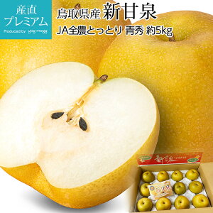【マラソン期間中店内全品P2倍】 梨 新甘泉 青秀 約5kg 8〜16玉 鳥取県産 なし ナシ しんかんせん シンカンセン お取り寄せ フルーツ 果物 ギフト 贈答 プレゼント 内祝い 出産祝い 産直プレミアム