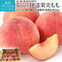 桃 献上桃の郷 福島県桑折町 伊達果実もも 特秀品 約5kg 13〜20玉 福島県産 産地直送 モモ もも 福島 お取り寄せ フルーツ 果物 ギフト 贈答 プレ...