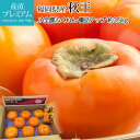 柿 秋王 秀品 約3.5kg 8〜14玉 オリジナル品種 福岡県産 かき カキ フルーツ 果物 ギフト 贈答 プレゼント 内祝い 出産祝い 産直プレミアム