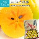 柿 太秋柿 秀品 約4kg 14〜18玉 福岡県産 かき カキ フルーツ 果物 ギフト 贈答 プレゼント 内祝い 出産祝い 産直プレミアム