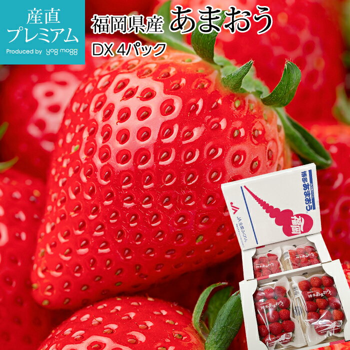 【エントリ—でポイント10倍】 いちご あまおう DX 4パック 福岡県産 イチゴ 苺 ストロベリー お取り寄せ フルーツ 果物 ギフト 贈答 プレゼント 内祝い のし 産直プレミアム