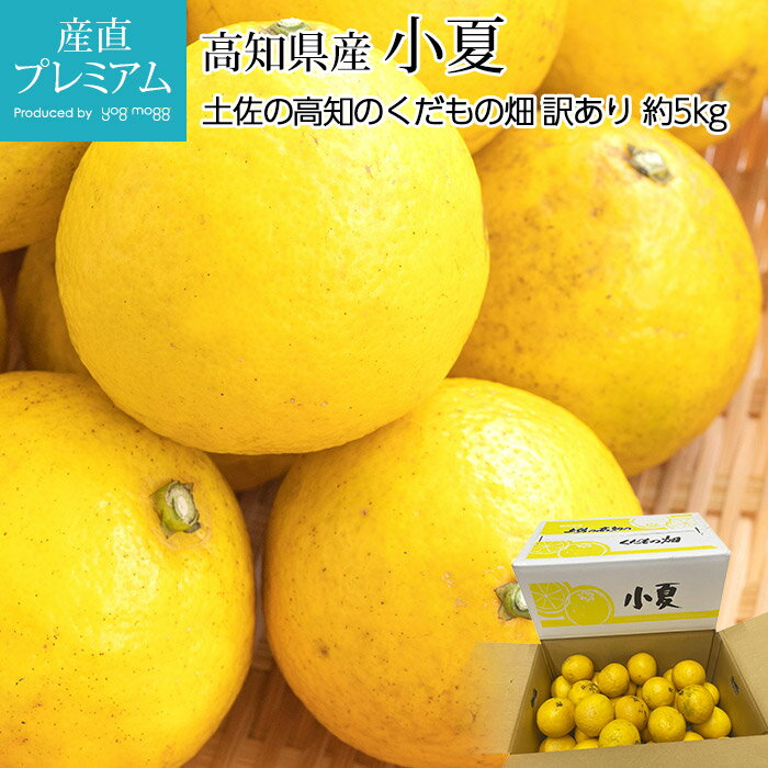 全国お取り寄せグルメ食品ランキング[はっさく(61～90位)]第67位