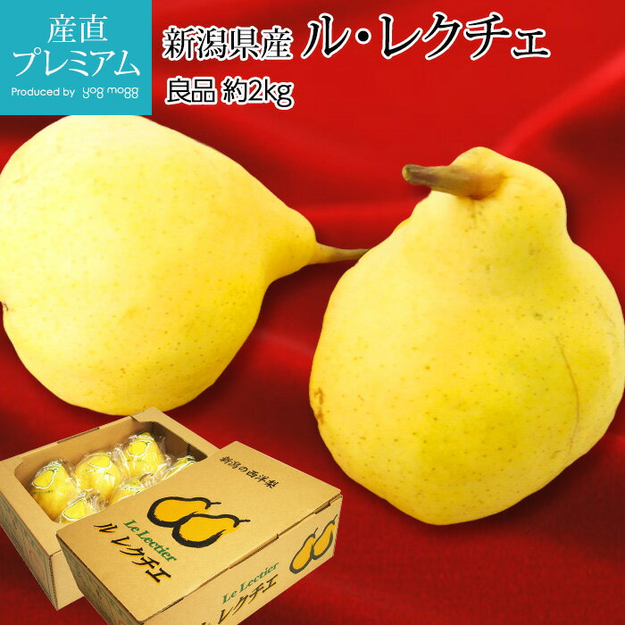 【スーパーセール限定最大P28.5倍】 洋梨 ルレクチェ 良品 約2kg 5〜8玉 新潟県産【ル・レクチェ 洋ナシ 洋なし お取り寄せ フルーツ 果物 ギフト 家庭用 プレゼント 内祝い】【産直プレミアム】のサムネイル