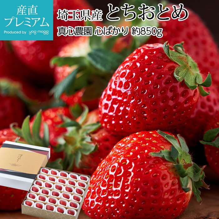 【エントリ—でポイント10倍】 いちご とちおとめ 心ばかり 約850g 30〜36粒 埼玉県産 産地直送 イチゴ 苺 栃乙女 トチオトメ こころばかり ココロバカリ ストロベリー お取り寄せ フルーツ 果物 ギフト 贈答 プレゼント 内祝い 産直プレミアム