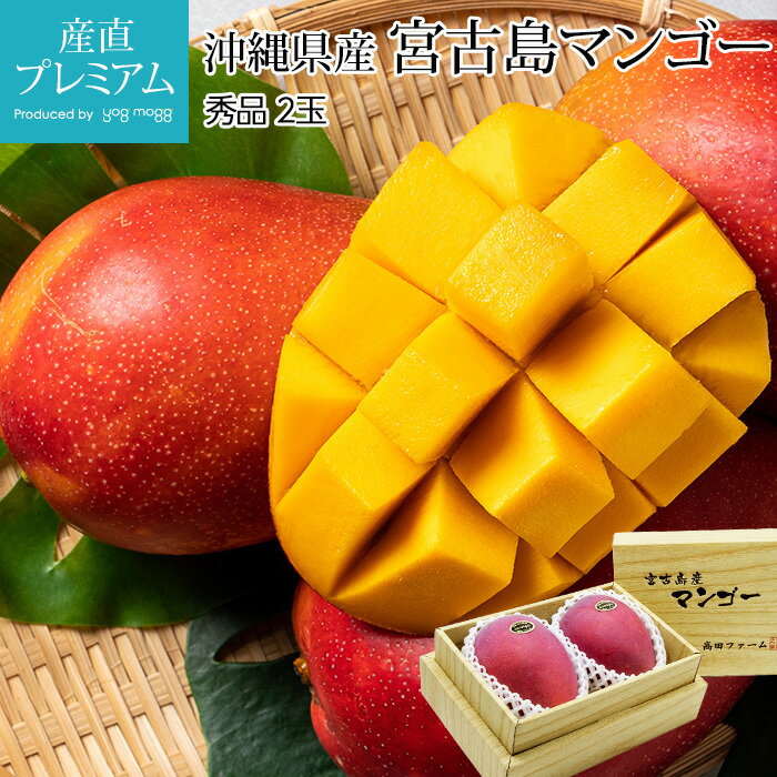 マンゴー 宮古島マンゴー 秀品 2玉 沖縄県産 産地直送 まんごー お取り寄せ フルーツ 果物 ギフト 贈答 プレゼント 贈り物 産直プレミアムのサムネイル