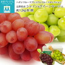 ぶどう シャインマスカット クイーンルージュ 約1.2kg 2房 セット 渋谷ハヤシフルーツ 長野県産 ブドウ 葡萄 シャイン マスカット お取り寄せ 果物 ギ...