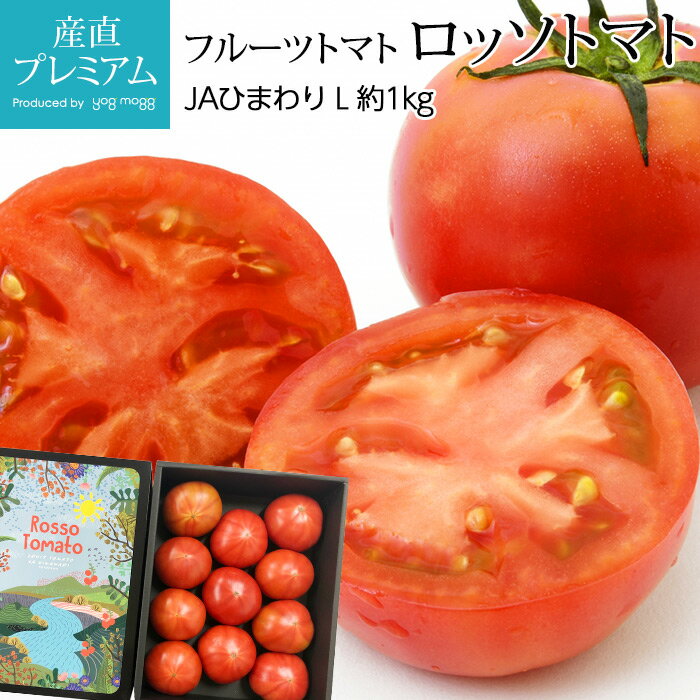 フルーツトマト 高糖度 ロッソトマト 約1kg Lサイズ 7～13個 愛知県産【高級 トマト とまと 野菜 フルーツ お取り寄…