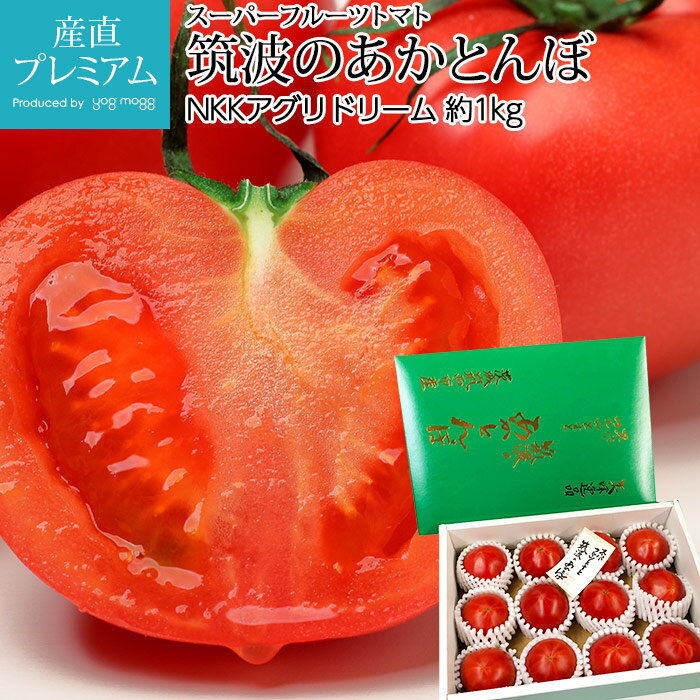 高糖度フルーツトマト スーパーフルーツトマト 筑波のあかとんぼ 約1kg 8～16玉 茨城県産【フルーツトマト 高糖度 高…
