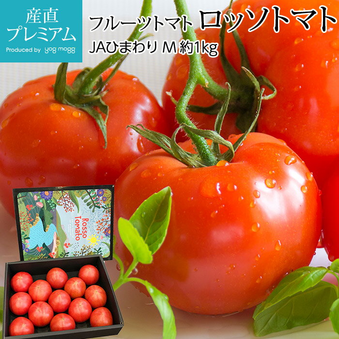 フルーツトマト 高糖度 ロッソトマト 約1kg Mサイズ 14～18個 愛知県産【高級 トマト とまと 野菜 フルーツ お取り寄…