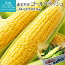 【マラソン限定最大P26倍】 とうもろこし ゴールドラッシュ 約2.5kg 6本 山梨県産 産地直送【コーン トウモロコシ 山梨 お取り寄せ ベジタブル 野菜 ギフト 贈答用 プレゼント 内祝い 出産祝い】【産直プレミアム】