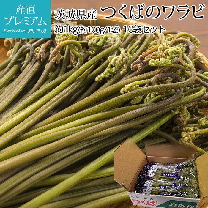 【マラソン限定最大P26倍】 わらび つくばのワラビ 約1kg（約100g/1袋） 10袋セット 茨城県つくば産【山菜 さんさい サンサイ ワラビ 蕨 お取り寄せ 野菜 ギフト 贈答 プレゼント】【産直プレミアム】