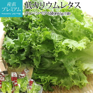 【低カリウムレタス】カリウム控えめで生野菜！低カリウムレタスのおすすめは？