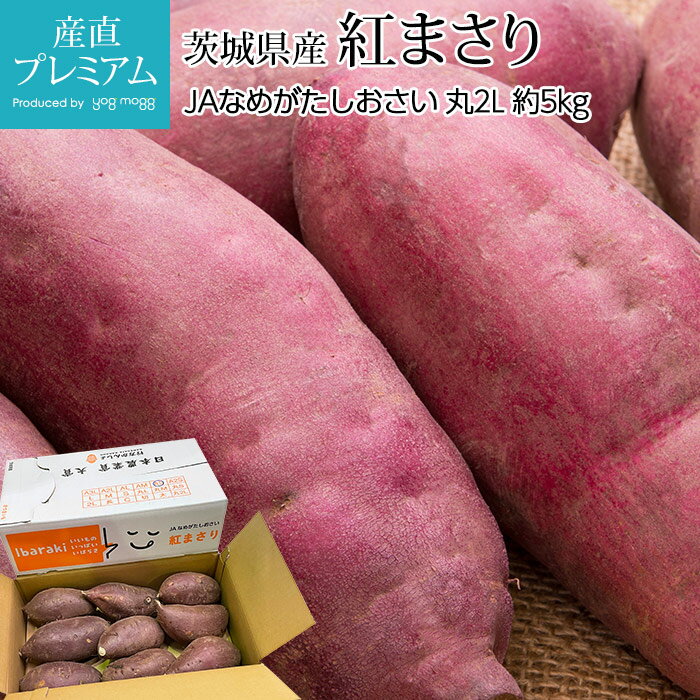 【マラソン限定最大P26倍】 さつまいも 紅まさり 約5kg 丸2Lサイズ 7～10本前後 茨城県産【サツマイモ べにまさり ベニマサリ ポテト お取り寄せ 野菜 ギフト 贈答 プレゼント】【産直プレミアム】